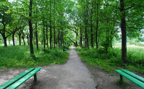 Старая Купавна