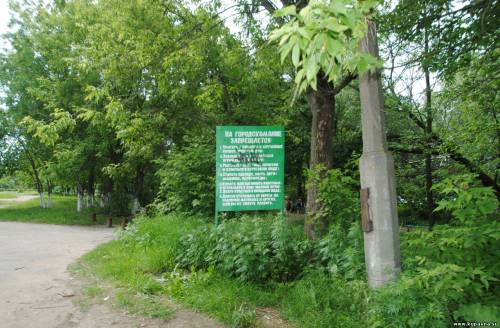 Старая Купавна