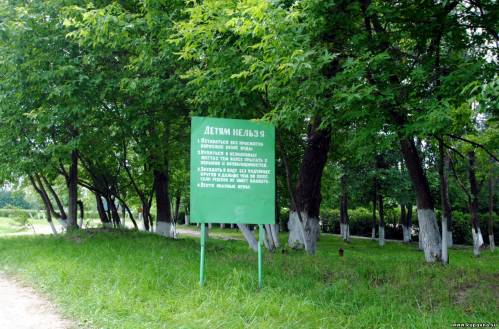 Старая Купавна