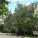 Кирова ул., Старая Купавна