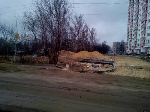 Старая Купавна