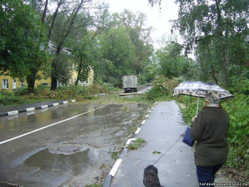 Старая Купавна