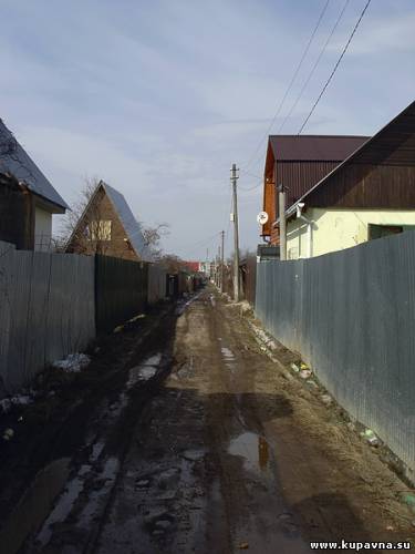 Старая Купавна