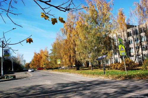 Старая Купавна