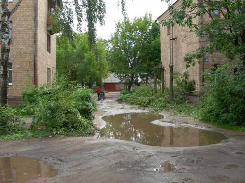 Старая Купавна