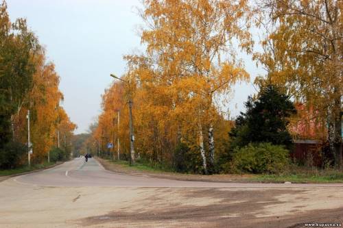 Старая Купавна