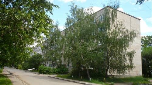 Старая Купавна