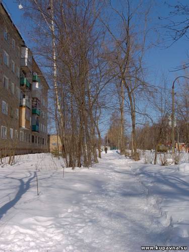 Старая Купавна