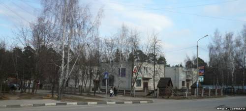 Старая Купавна