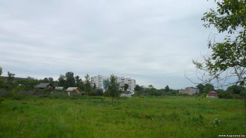 Старая Купавна