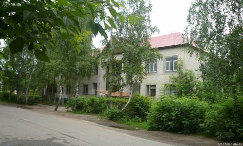 Старая Купавна
