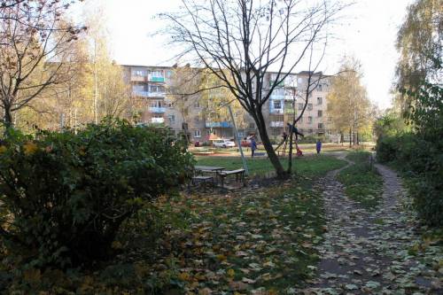 Старая Купавна