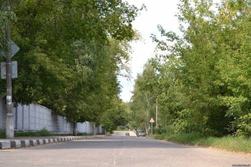 Старая Купавна