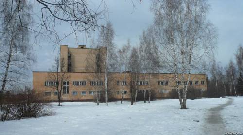 Старая Купавна