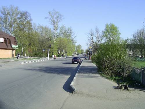 Старая Купавна