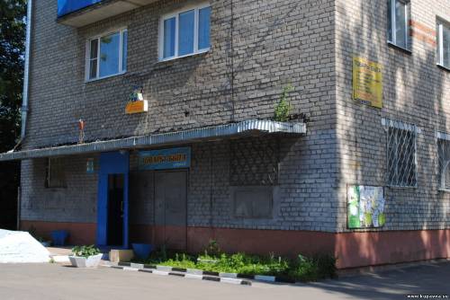 Старая Купавна