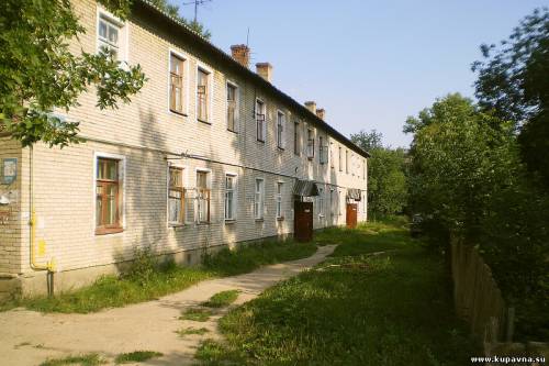Старая Купавна