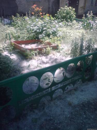 Старая Купавна
