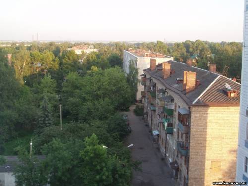Старая Купавна