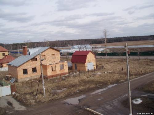 Старая Купавна