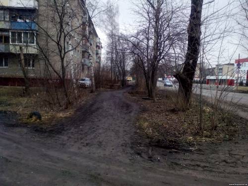 Старая Купавна