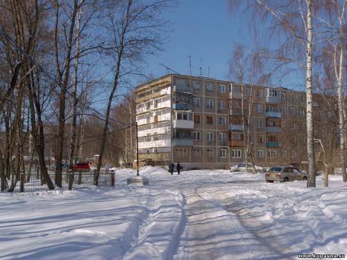 Старая Купавна