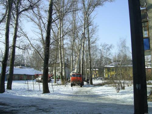 Старая Купавна