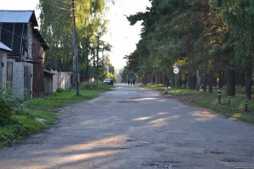 Старая Купавна