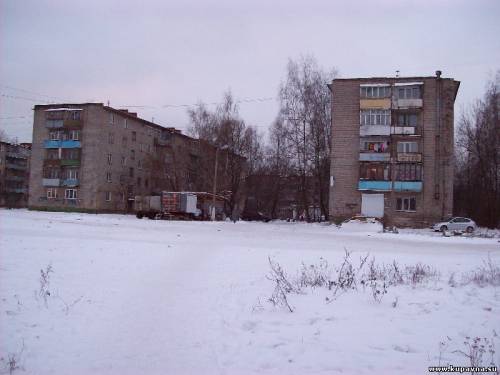 Старая Купавна