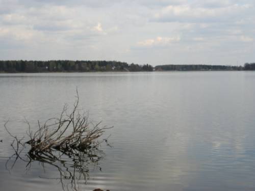 Старая Купавна