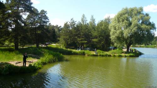 Старая Купавна