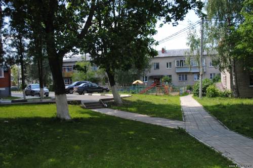 Старая Купавна