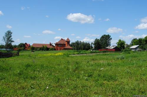 Старая Купавна