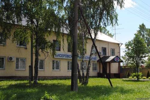 Старая Купавна