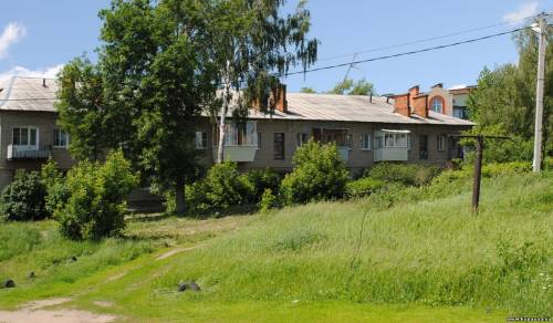 Старая Купавна