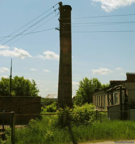 Старая Купавна
