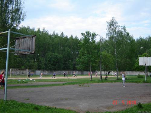 Старая Купавна