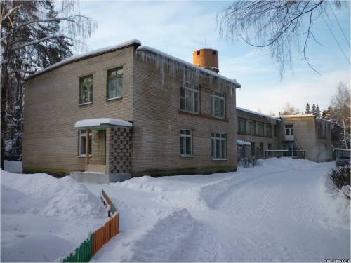 Старая Купавна