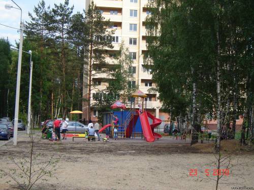 Старая Купавна