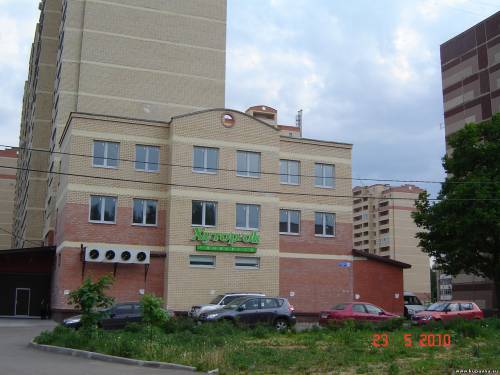 Старая Купавна