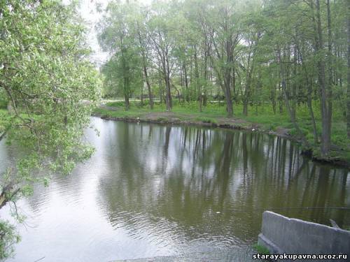 Старая Купавна