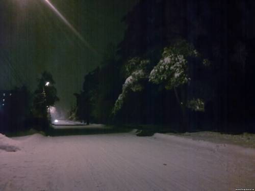 Старая Купавна