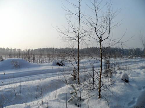 Старая Купавна