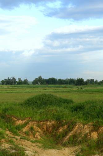 Старая Купавна