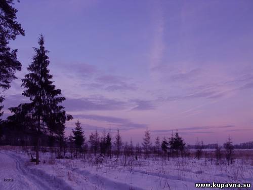 Старая Купавна