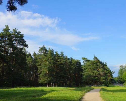 Старая Купавна