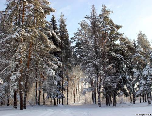 Старая Купавна