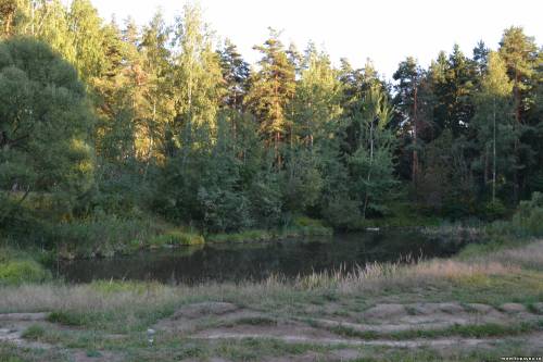 Старая Купавна