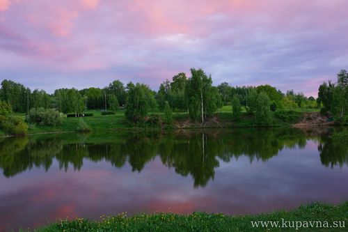Старая Купавна