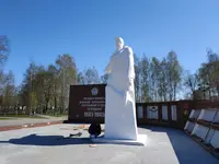 Старая Купавна